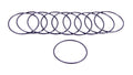 Filter O-Rings (10)