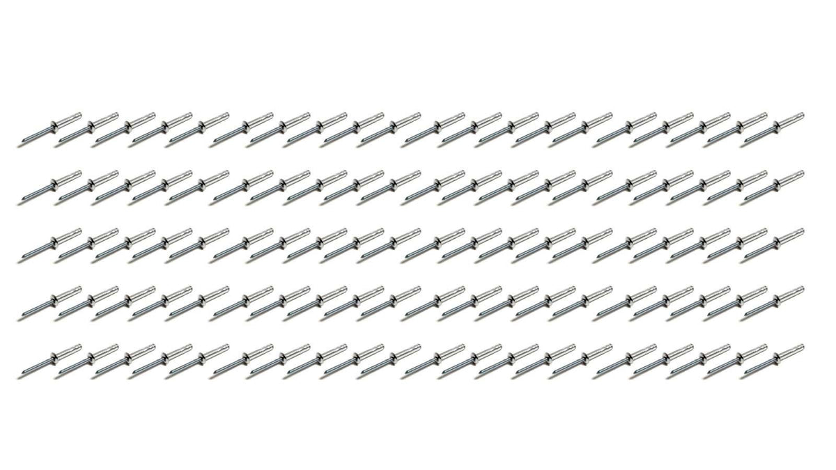 Small Head Rivet Silver 100pc 3/16in Long Shank