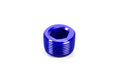 3/4 MPT Allen Pipe Plug