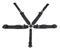5-PT Harness Camlock Ind Shldr 3in to 2in Trans