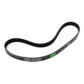 6-Rib Serp. Belt 36.5in