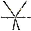 6pt Harness Profi 2x2 Pull-Up Lap