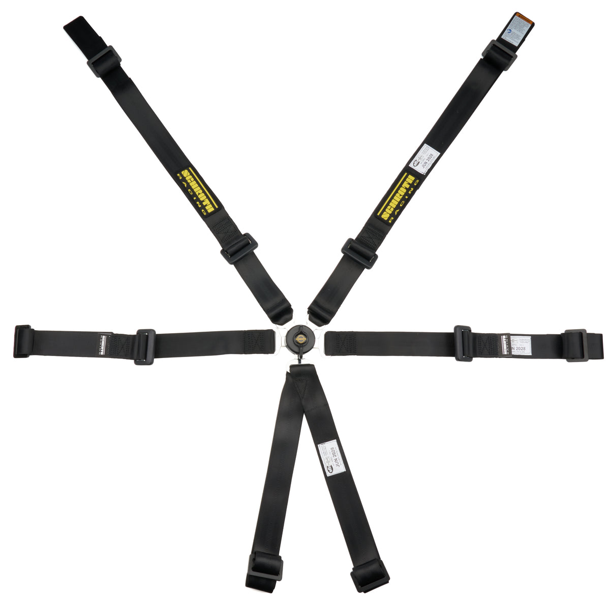 6pt Harness Profi 2x2 Pull-Up Lap