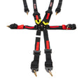 Harness 6pt Black Cam L 3in/2in Shoulder FIA